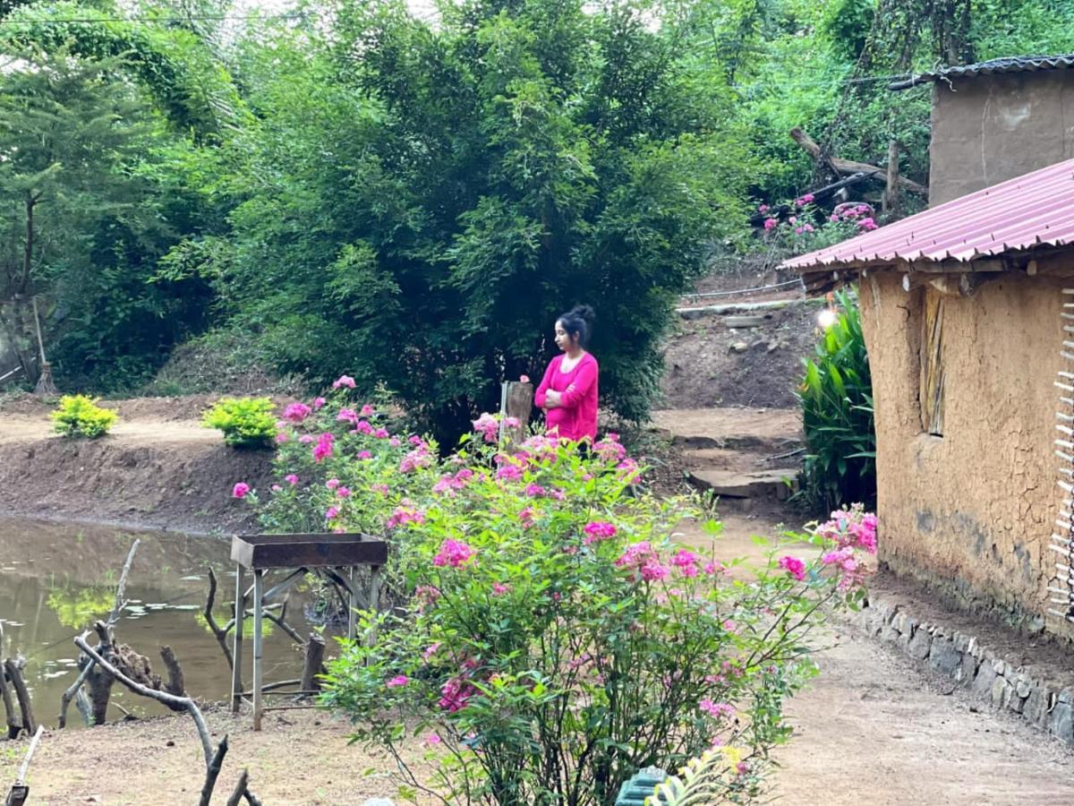 Mimure Eco Lodge Meemure & Adventure Park מראה חיצוני תמונה